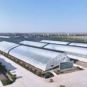 2026年中央一号文件政策红利窗口已经打开，设施农业新赛道全面铺开 ...