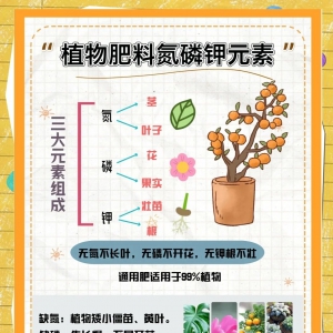 园林养护别瞎施肥！一篇讲透肥料的“门道”