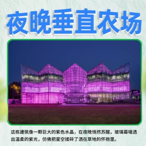 北京的垂直农场，如何把都市农业玩出创新？