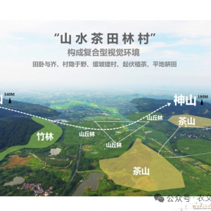 2020溧阳悠然南山神山田园综合体318