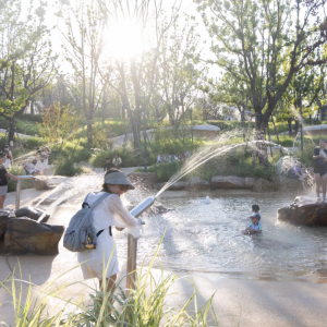 2025年度报道的10个最受欢迎的公园项目