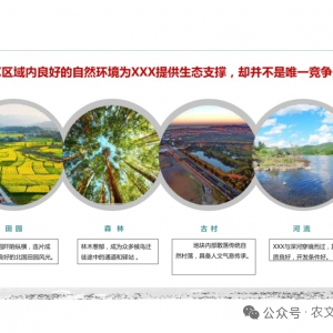 田园综合体深度规划：碧带花湾279页系统性方案