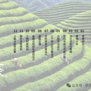 2021 商洛商南县茶旅康养融合示范园规划方案-240页