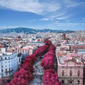 公路退场，街道回归 ①︱欧洲城市如何打破公路束缚，重建绿色生活空间 ...