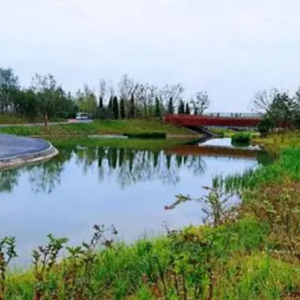 【园林理论】面向“双碳”目标的园林景观设计思考