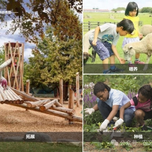 IP化农业范本｜西安泾河番茄主题农场全案：从单品类IP打造到农旅体验落地的完整策划 ...