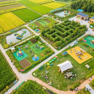 乡村经营视角下的大都市郊区空间高效利用研究——以上海乡村为例 ...