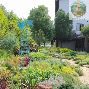 药食同源产业：撬动农村创业的新杠杆