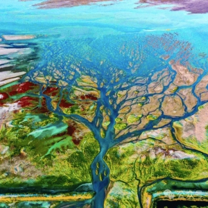 三分钟看懂2026年中央一号文件