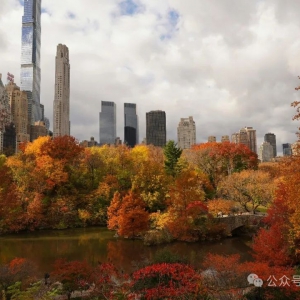 从上海园林市场，看全国园林市场