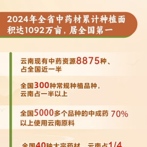 从“靠山吃山”到“育山富民”，从“卖药材”到“卖体验”，青山变“药库” ...