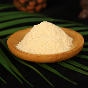 “以竹代塑”竹粉先行：竹粉的材料优势、加工与应用