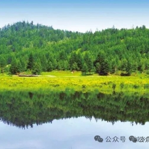 2026年国家林业项目申报指南｜7类中央资金+全流程，收藏备用！（油茶产业发展在列） ...