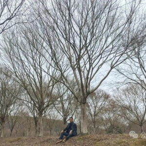 卖掉三千棵树，养活2000亩苗圃，种下一片“未来之树”！