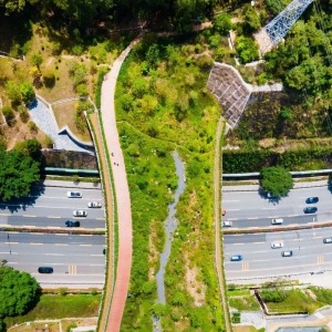 【厚建筑好文】“动物天桥”连通生态断点-动物廊桥