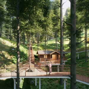 林地新活力：沉浸式自然休闲引领林下经济转型