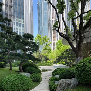 松树钻柱类害虫系统调查内业整理及标本制作要点